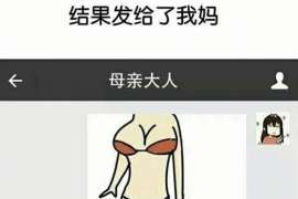 吉利资产调查